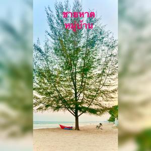 Oriental Beach By Winnie