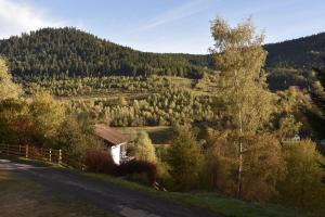 Chalets Les habitats de la chaume : photos des chambres