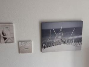 T2 mezzanine la grande bleue PORT LEUCATE