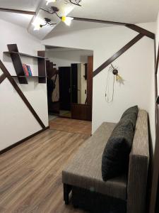 2 kambarių butas Alytuje