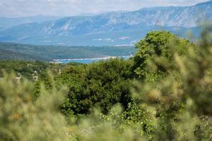 Apartment in Vrbnik - Insel Krk 45248