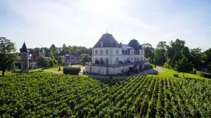 Château & Spa de la Cueillette - Corcelles-les-Arts