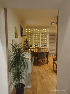 Apartament Centrum Nowa Ruda