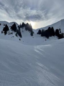 Appartement Plagnes Villages