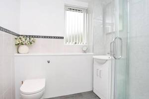 Edinburgh Apartment near University of Edinburgh - Elforma