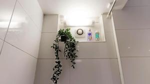 Appartements Appartement pro uniquement pas touristes ou familles : photos des chambres