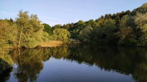 Appartements Appartement pro uniquement pas touristes ou familles : Appartement 1 Chambre