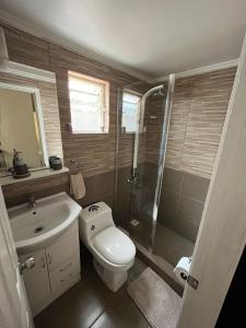 CABAÑA TIPO DEPARTAMENTO ISLA TEJA