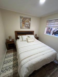 CABAÑA TIPO DEPARTAMENTO ISLA TEJA