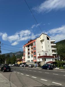 Vila Trandafirul si Liliacul