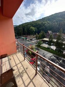 Vila Trandafirul si Liliacul