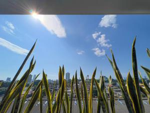 Modern apartment in Colombo