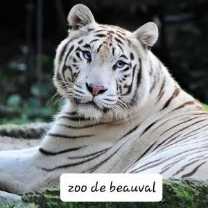 Gite de la Belle Vie - Le Puits