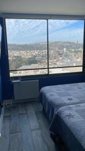 Viña del mar