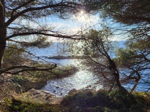 Havre de paix à deux pas du centre ville et de la plage