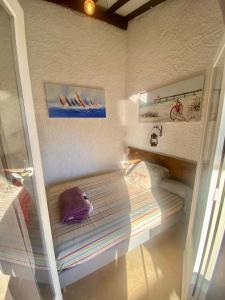 Appartements Tres bel appartement les pieds dans l’eau : photos des chambres