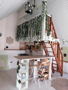 Maisons d'hotes Gite Fee Grenouille : photos des chambres