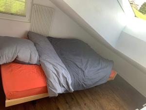 Chalet Luzi