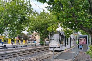 Modern comfy stylish & convenient large apartment