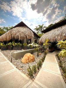 Jungla EcoLuxury Resort