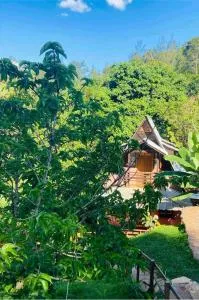 El campo en Jarabacoa - Los Corozos