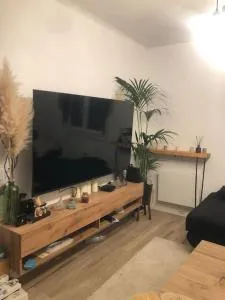 Green house Orly - 维里沙蒂隆