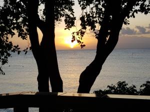 Karlssons Guesthouse