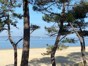 Maisons d'hotes Hotel particulier - Les lodges du Bassin d'Arcachon- Petit-dejeuner sur demande- Prestations haut de gamme : photos des chambres