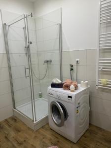 Luxuriöse Wohnung mit eigenem Garten