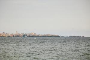 House on the sea garden
