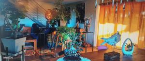 B&B / Chambres d'hotes La Croisee des Arts : photos des chambres