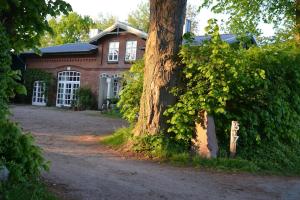 Ferienhaus Hof Papenwohld - Naturpark, Gartensauna