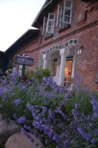 Ferienhaus Hof Papenwohld - Naturpark, Gartensauna