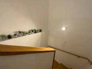 Erleben Sie Wien l BG3