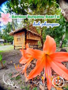 Bamboo Bungalow Baan Tai Phangan