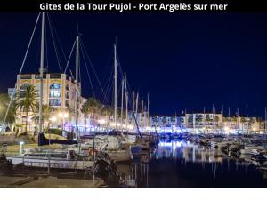 Maisons de vacances Les Gites de la Tour Pujol : photos des chambres