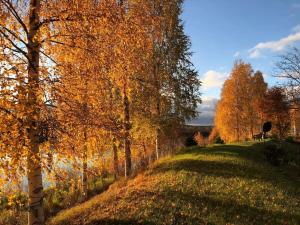 Studio by the river Ivalo