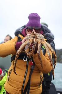Studio by the river Ivalo