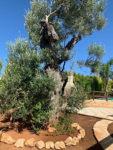 Villetta Mari con piscina esclusiva nel Salento