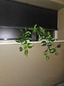 Leilighet nær flyplass og Ålesund sentrum