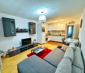 Relax Apartment 2 - Saschiz