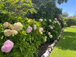 Luxery Gem in Stellenbosch