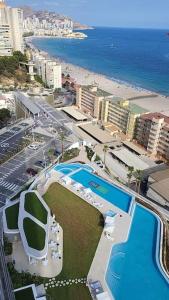 Sunset Cliffs Bright Oasis