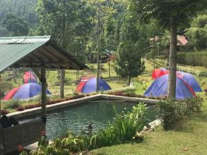 Borneo camp