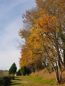 Chalets Chalet au bord d-un lac : photos des chambres