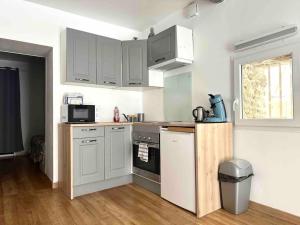 Appartements Chez Camille et David : photos des chambres
