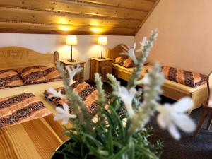 Apartamenty i pokoje U Marianny