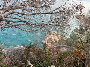 B&B La DORMERIA