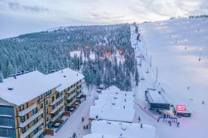 Levillas Levin Cranberry C24