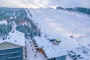 Levillas Levin Cranberry C24